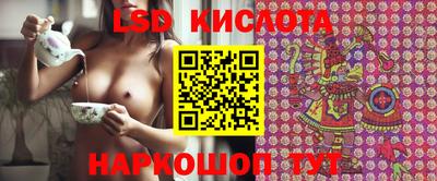 PSILOCYBIN Ярославль
