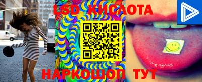 PSILOCYBIN Ярославль