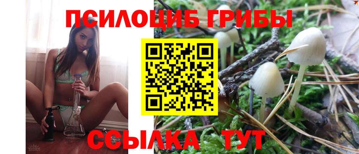 Дивногорск  Галлюциногенные грибы Cubensis  Вход с VPN 